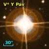 V* Y Pav