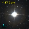 *  37 Cam
