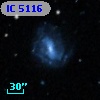 IC 5116