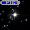 HD 237463
