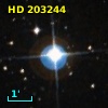 HD 203244