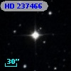 HD 237466