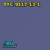 TYC 9117-13-1