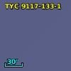 TYC 9117-133-1