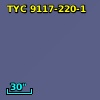 TYC 9117-220-1