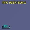 TYC 9117-316-1