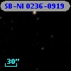 SB-NI 0236-0919