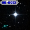 HD  40203
