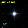 HD  42365