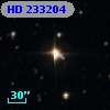HD 233204