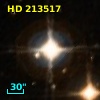 HD 213517