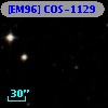 [EM96] COS-1129