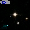 CD-50 13825
