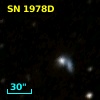 SN 1978D