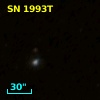 SN 1993T