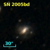 SN 2005bd