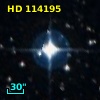 HD 114195