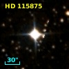 HD 115875