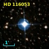 HD 116053