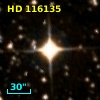 HD 116135