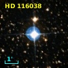 HD 116038