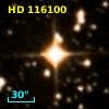 HD 116100