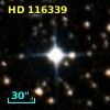 HD 116339