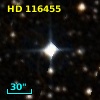 HD 116455