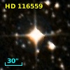 HD 116559