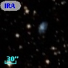 IRAS 13114-4921