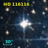 HD 116116