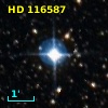 HD 116587