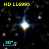 HD 116995