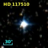 HD 117510