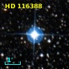 HD 116388