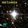 HD 116416