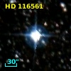 HD 116561