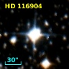 HD 116904