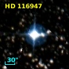HD 116947
