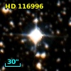 HD 116996