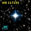HD 117133