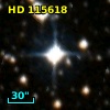 HD 115618