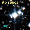 HD 116022