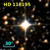 HD 118195