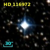 HD 116972