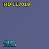 HD 117019