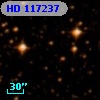 HD 117237