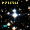 HD 117315