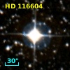 HD 116604