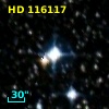 HD 116117